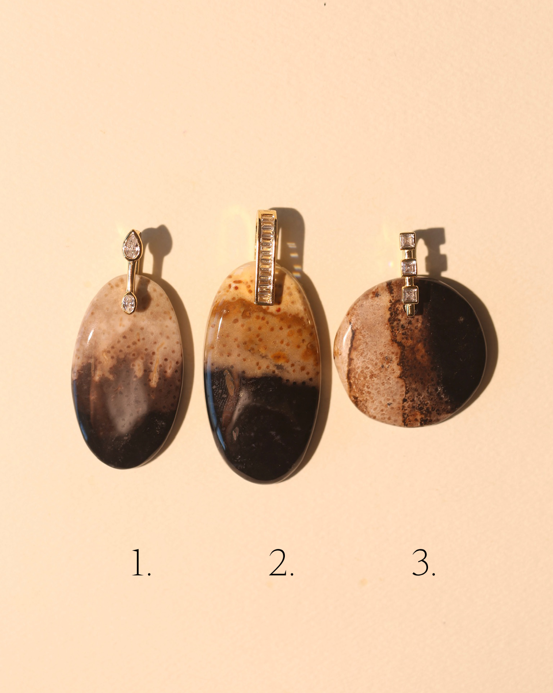 Stone Pendant - Petrified Wood/Group 2