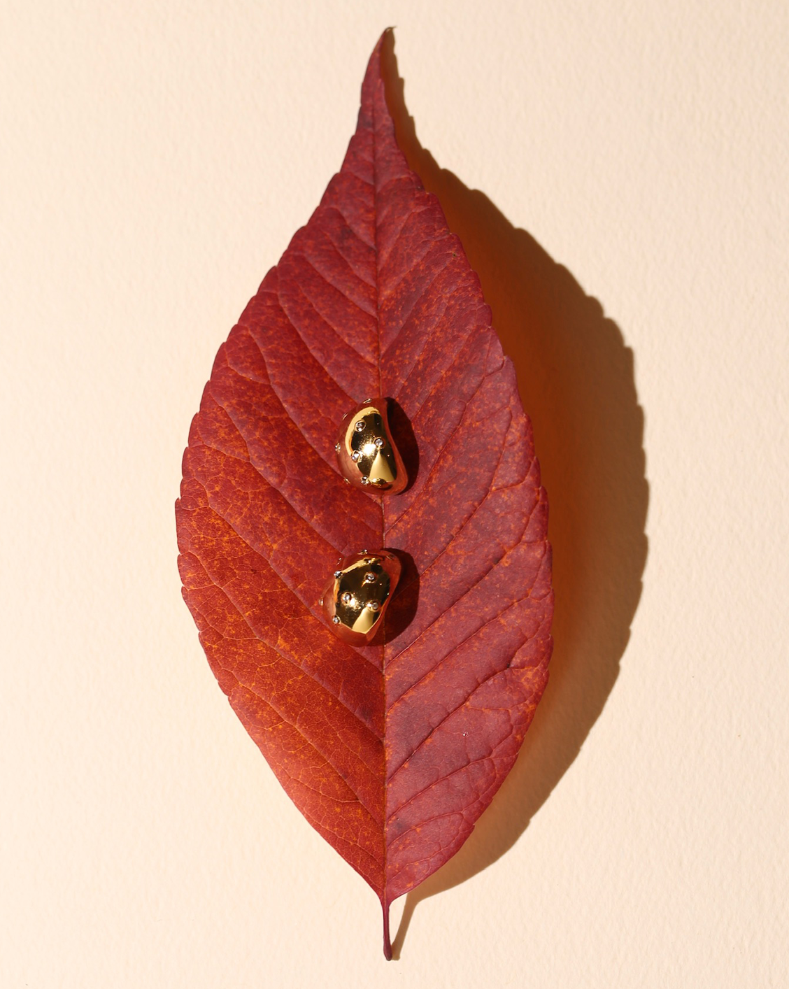 Naomi Earrings - Gold Vermeil