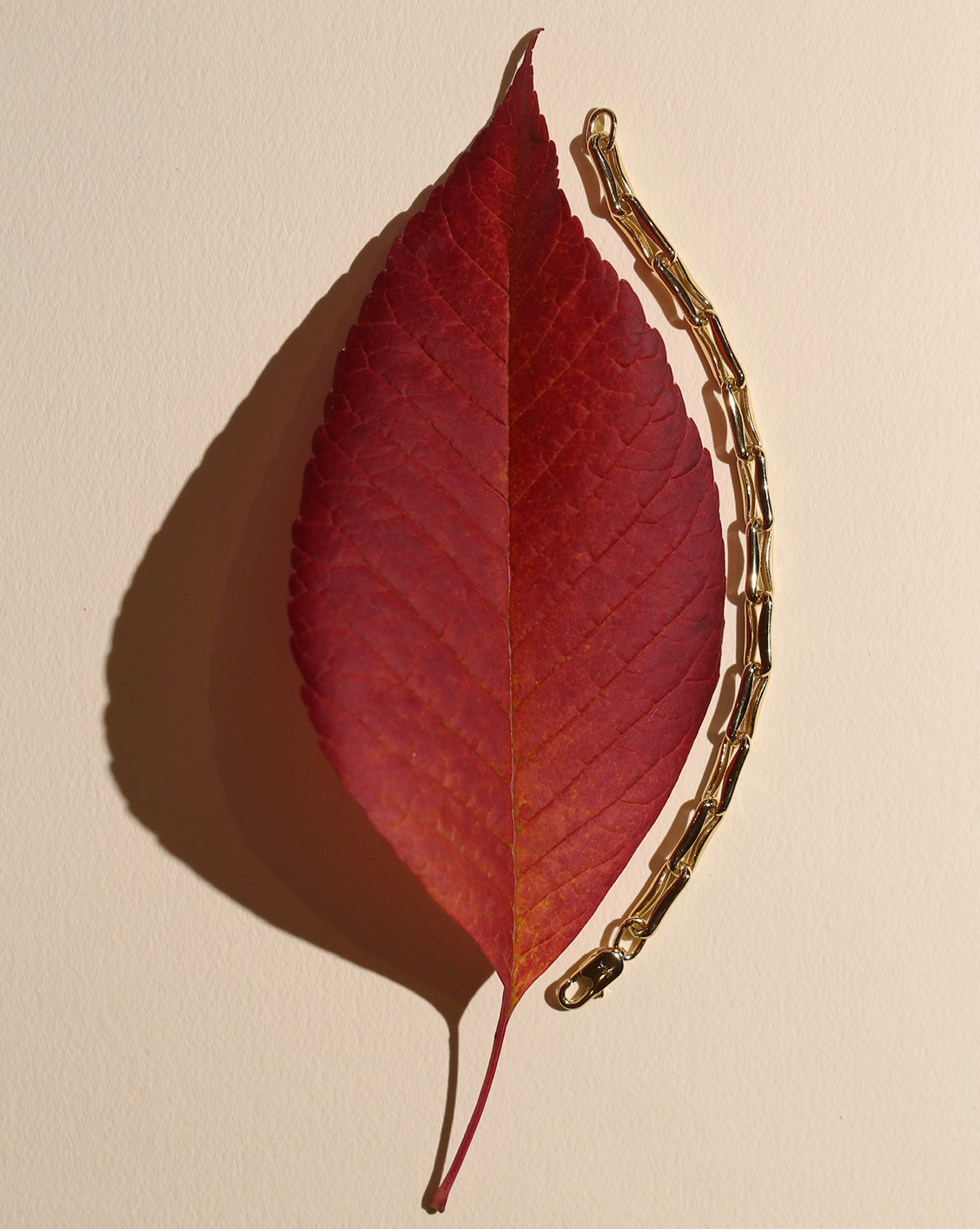 Mini Forte Bracelet - Gold